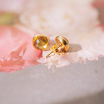 Cushion Studs: 24K Gold Vermeil (8 Colors)TreisiEarrings